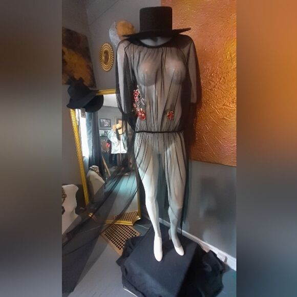 Zara Dresses & Skirts - Zara Sheer Mesh Embroidered Tunic Dress